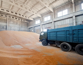 Менське хлібоприймальне підприємство заготовило рекордний обсяг зерна